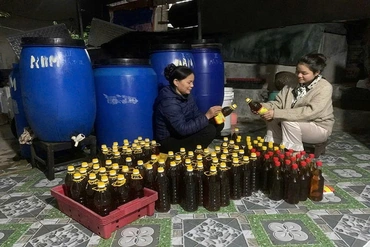 Đưa sản phẩm OCOP vươn xa