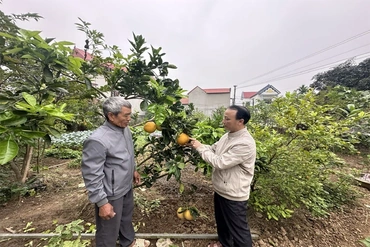 Ông Nguyễn Duy Hà gương mẫu,&nbsp;tâm huyết với công việc tập thể