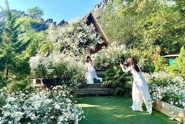 Trải nghiệm du lịch sinh thái&nbsp;qua những vùng hoa