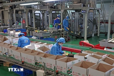 Đại hội XIV của Đảng: “Mở đường” cho kinh tế tư nhân bứt phá