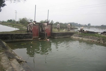 Công ty TNHH MTV Sông Chu: Thi đua lao động sáng tạo cho những cánh đồng bội thu