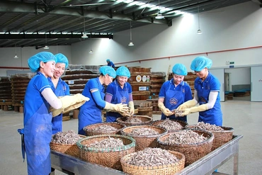 Mỗi sản phẩm là một câu chuyện...