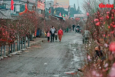 Đợt không khí lạnh đúng Tết Nguyên đán kéo dài đến khi nào?