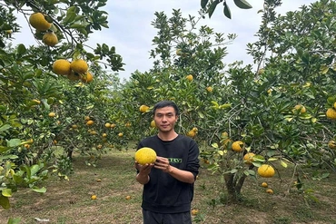 Khát vọng khởi nghiệp trên vùng đất khó