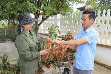 Xứng danh Bí thư chi bộ xuất sắc tiêu biểu toàn quốc