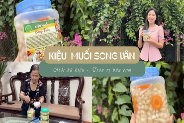 [REVIEW OCOP] Kiệu muối Song Vân - Một hũ kiệu, tròn vị bữa cơm