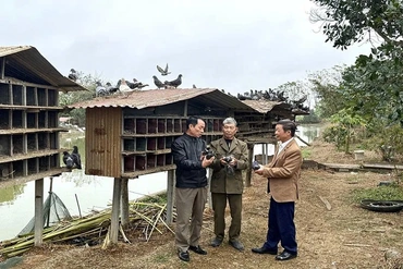 Gương sáng người cao tuổi làm kinh tế giỏi