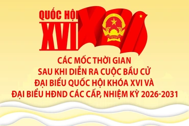 [Infographics] Các mốc thời gian sau khi diễn ra cuộc bầu cử Đại biểu Quốc hội khóa XVI và đại biểu HĐND các cấp nhiệm kỳ 2026-2031