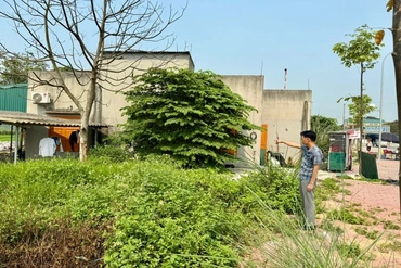 Thông tin “Người dân ở Thanh Hóa là nạn nhân của tình trạng cướp đất” là không có cơ sở