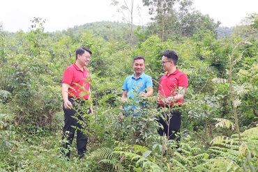 Dấu ấn tiên phong vì sự phát triển&nbsp;nông nghiệp xanh, bền vững