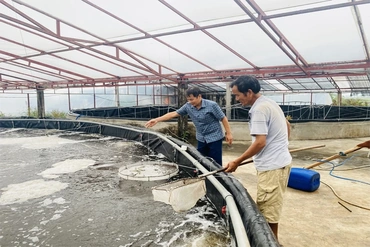Tân Tiến nhân rộng mô hình nuôi trồng thủy sản ứng dụng công nghệ cao