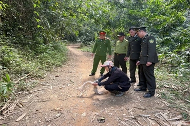 Tăng cường quản lý, bảo vệ các loài động vật hoang dã, nguồn lợi thủy sản