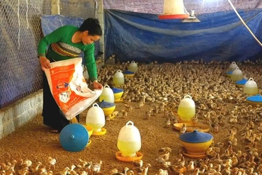 Điển hình làm kinh tế giỏi&nbsp;ở thôn Oi