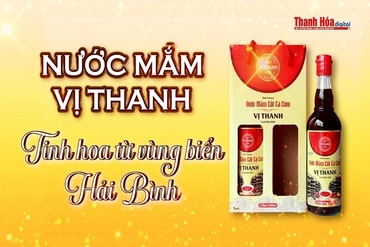 [REVIEW OCOP] Nước mắm Vị Thanh – Tinh hoa từ vùng biển Hải Bình