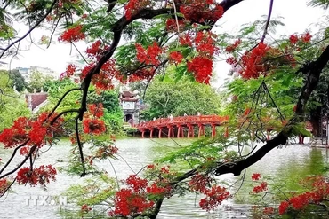 29 luật quan trọng bắt đầu có hiệu lực thi hành kể từ ngày 1/7