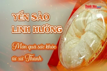 [REVIEW OCOP] Yến sào Linh Hường - Món quà sức khỏe từ xứ Thanh