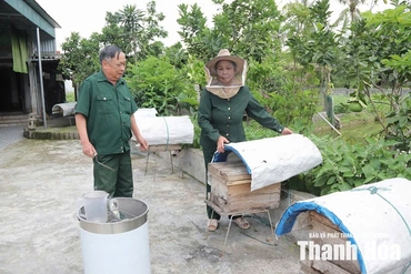 Vợ chồng cựu TNXP nêu gương sáng