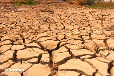 Xây dựng Báo cáo dự báo El Nino 2026-2027, nhận định nguy cơ tác động