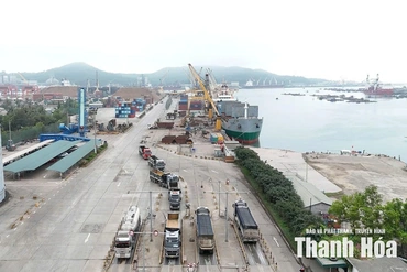 Định hình trụ cột logistics và dịch vụ cảng biển