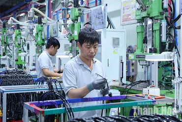Biến DCCI thành “KPI cải cách”