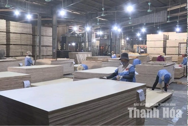 Chính sách thuế mới của Mỹ gia tăng áp lực&nbsp;cạnh tranh cho doanh nghiệp