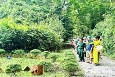 Sức hút mùa thu ở Lam Kinh