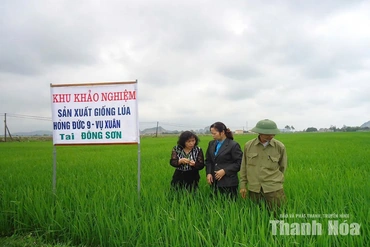 Nhà khoa học tận tâm vì nền nông nghiệp xanh