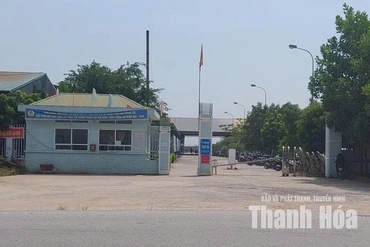 Khó khăn trong xử lý hình sự đơn vị trốn đóng bảo hiểm xã hội