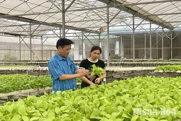 Đổi thay nhận thức - giảm nghèo bền vững