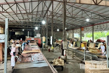 Giải pháp nào xử lý triệt để tình trạng chậm đóng, trốn đóng BHXH, BHYT?