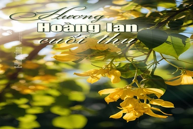 [E-Magazine]: Hương hoàng lan cuối thu
