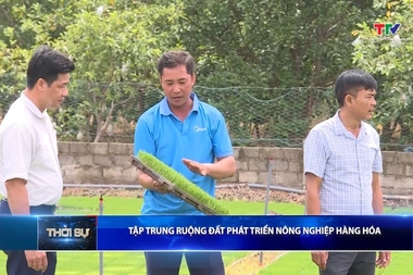 Bản tin Thời sự 16h ngày 2/7/2026