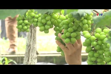 Bản tin Thời sự trưa ngày 12/7/2026