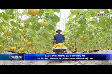 Bản tin Thời sự 16h ngày 12/7/2026