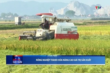 Bản tin Thời sự cuối ngày 11/07/2026