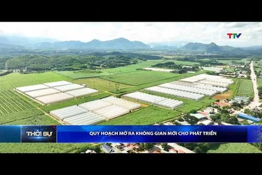 Bản tin Thời sự 14h ngày 10/7/2026 | Thanh Hóa TV