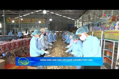 Bản tin Nông nghiệp - Nông thôn ngày 15/7/2026