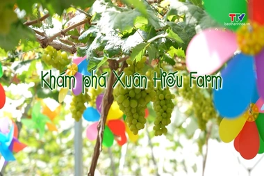 Thanh Hóa - Đi để yêu ngày 22/7/2026