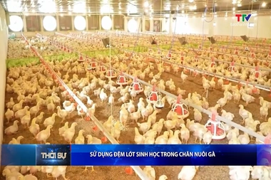 Bản tin Thời sự trưa 25/7/2026