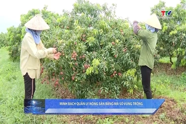 Khoa học và Đời sống ngày 17/7/2026