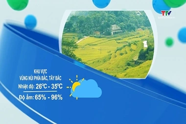 Bản tin cảnh báo thiên tai và thời tiết ngày 22/7/2026