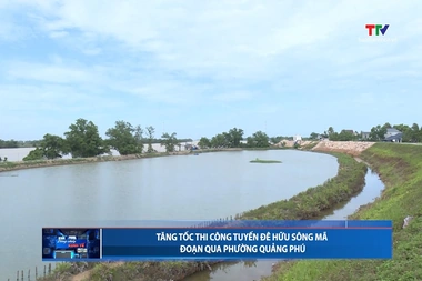 Bản tin Dòng chảy kinh tế ngày 19/7/2026