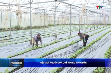 Bản tin Thời sự 14h ngày 29/7/2026