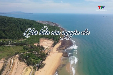 Thanh Hóa - Đi để yêu ngày 29/7/2026