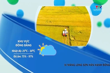 Dự báo thời tiết 19h ngày 30/7/2026
