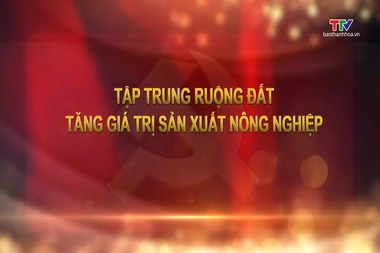 Đảng trong cuộc sống ngày 30/7/2026