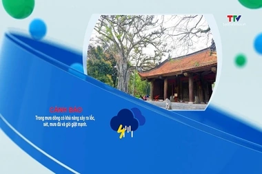 Bản tin cảnh báo thiên tai và thời tiết ngày 29/7/2026