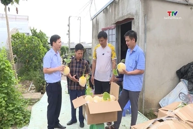 Khoa học và Đời sống ngày 31/7/2026