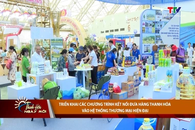 Thanh Hoá Ngày mới 04/08/2026