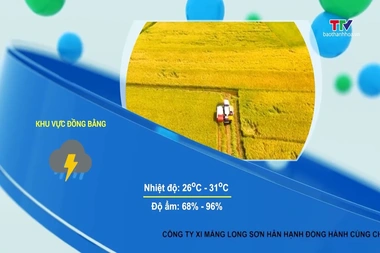 Dự báo thời tiết 19h ngày 03/8/2026
